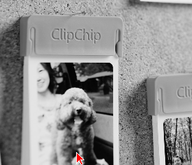 デジタル写真のWebプリントサービス「ClipChip」