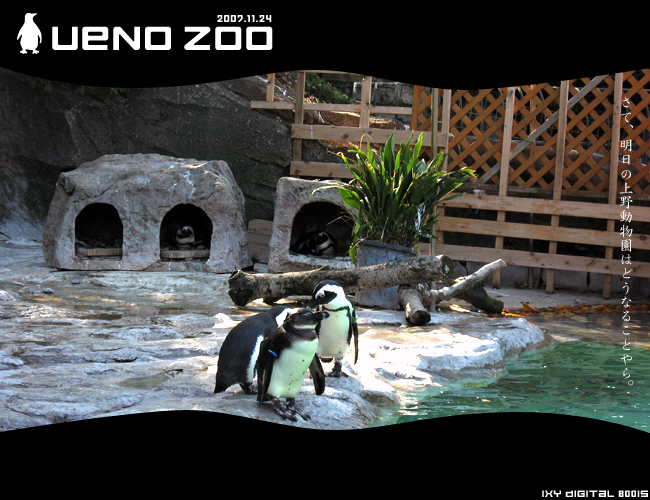 上野動物園 2007年11月24日